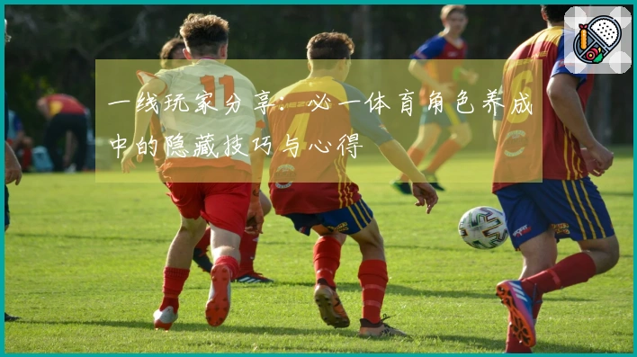 一线玩家分享：必一体育角色养成中的隐藏技巧与心得