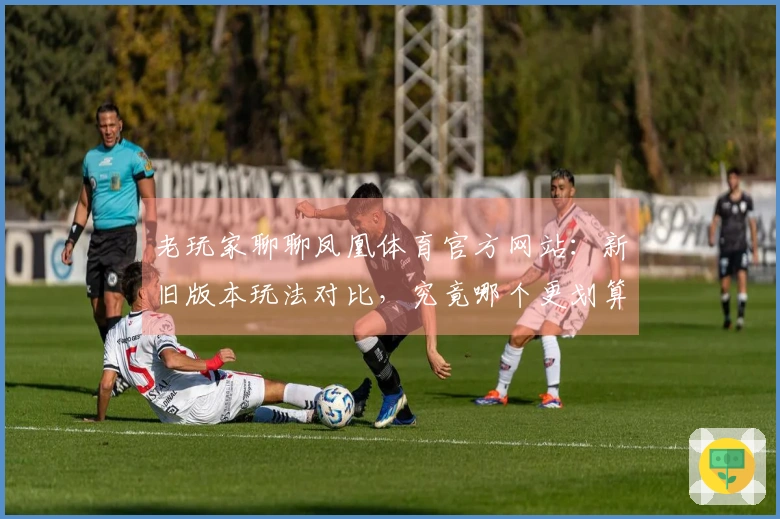 老玩家聊聊凤凰体育官方网站：新旧版本玩法对比，究竟哪个更划算？
